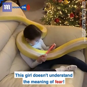 The word fear isn't in this girl's vocabulary! 😱🐍 via ViralHog | Daily Mail Video