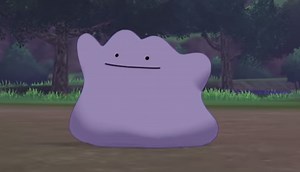 Where to find Ditto in Pokémon Sword and Shield