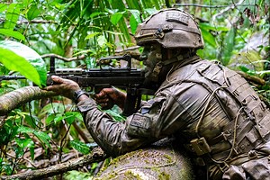 🕷️Welcome to the jungle, 45 Commando. Royal Marines are in the extreme humidity of Belize, testing themselves in jungle combat and survival. Read more: https://www.royalnavy.mod.uk/news-and-latest-activity/news/2019/november/13/191113-jungle-combat | Royal Marines