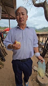 32K views · 407 reactions | Mus ncig taj laj | Nkaujhmoobzoo Ib | Facebook