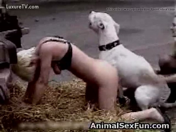 [ Zoo Sex Fam XXX ] Sexy farm girl getting pumped full of cum by a horny white pitbull