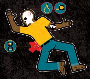 Forensic anthropology examines skeletons found in archaeologist's home