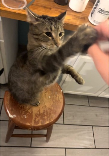 Understanding Sharpness in Minecraft Gameplay