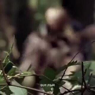 https://t.co/YIWh4KxHQshttps://t.co/YIWh4KxHQs