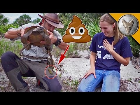Pooper Reel - Animal Show Host Gets Pooped On...A LOT!