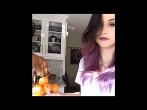 Acacia Brinley Clark new vines July 2014