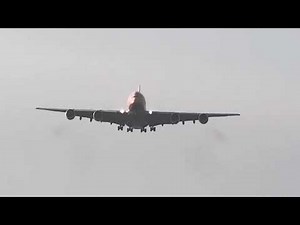 ANA/A380 フライングホヌ 成田空港