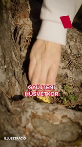 Gesztesi Panka már nagyon várja a húsvétot!