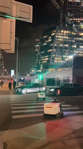 Delivery Robots in Moscow