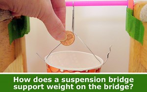 Bridge Science: Weekly Science Project Idea and Home Science Activity Spotlight | Science Buddies Blog