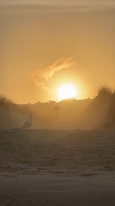 10K views · 723 reactions | Coast Guard Beach - Eastham, Massachusetts - Cape Cod - September 2024 - Cape Cod, Massachusetts Cape Cod, Massachusetts | Cape Cod, Massachusetts | Facebook