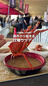 千葉県いすみ市 日帰りツアー：港の朝市・太東埼灯台・ソルヴェテリアプライア