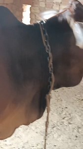 24K views · 197 reactions | Agriculture farmer on Reels | Facebook