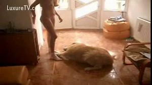 Blondie rubs her dog's cock