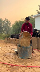 263K views · 11K reactions | Cows lovers  ❤️亮@tiwari_dairy_farm . . . . . . . . . . . #trending #viralvideos #dairyfarm #design #deirymaster #deirylook #deiryspeixoto #desibalak #desibalak❤️ ##instagood #instadaily #instalike #instagram #explore #deirybusiness #explorepage #explore more #tech #techhouse #contentcreator #foryou #foryoupage #sapna mehant #boyslife #badtime #halat #sapna#trendingsong❤ | Tiwari Dairy Farm | Facebook