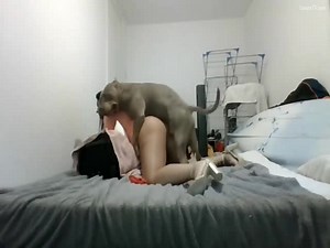crackbitch breed dog 🐾webcam