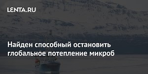 Найден способный остановить глобальное потепление микроб