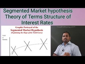 Segmented market Hypothesis/ the Theory of terms structure of interest rates.