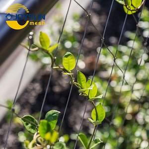 [Hot Item] Zoo Mesh/Stainless Steel Bird Netting/Aviary Mesh/Stainless Steel Wire Rope Mesh/Netting