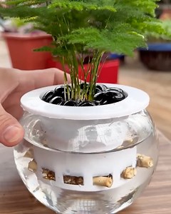 481K views · 9K reactions | Low-maintenance office plants ☘ | MetDaan Tips | Facebook