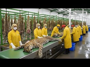 Million-Dollar Leopard Leather: Inside the Factory Making Exotic Skins