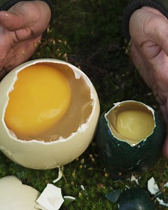 Celebrate this special Fire Kitchen ASMR compilation with me. This time you can enjoy the best ASMR🔊 moments of my recent meals! Do you also get hungry watching this?🤤 #firekitchen #asmr #compilation | Fire Kitchen