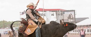 The Rodeo: Bull Riding - Cheyenne Frontier Days