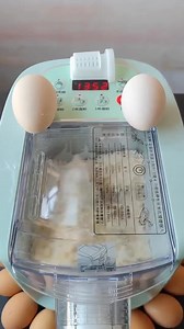 663K views · 10K reactions | Homemade fresh noodle pasta making machine | Peace of Mind | Facebook