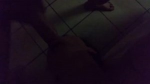 Unity hdrp cars demo