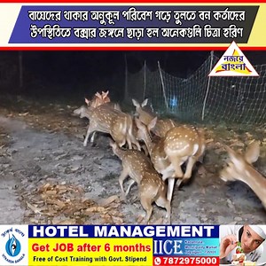 20K views · 336 reactions | Nojore Bangla on Reels | Facebook