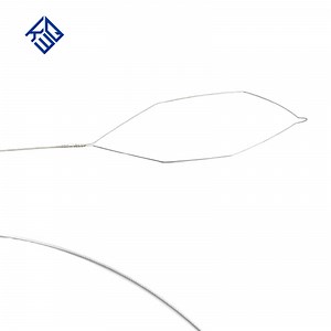 [Hot Item] Endoscopy Accessories Disposable Polypectomy Snare with 2300mm Working Length