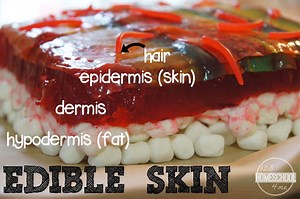 5 Senses for Kids Lesson with FUN Hands-on Activities