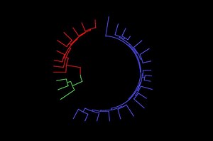 Recapitulation theory - Alchetron, The Free Social Encyclopedia