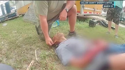 Body camera footage shows moments following Florida tiger attack