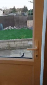 Главная - прикольные картинки, мемы, комиксы, гифки на JoyReactor - страница 12213