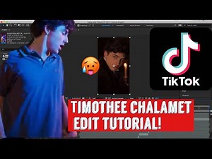 timothee chalamet TIK TOK edit tutorial