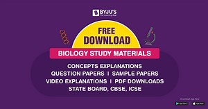 Sexual Reproduction - Male and Female Reproductive System Organs