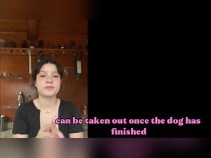 Milly Perro 47 Chica