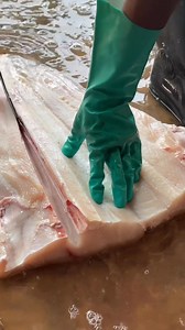 591K views · 2.7K reactions | Anaconda Born Remove Style ❤️ | Connor Weber | Facebook