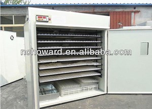 [Hot Item] Full Automatic 2112 Chicken Hatchery Machine for Hot Sale