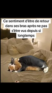 Ce sentiment d'être de retour dans ses bras après une longue absence