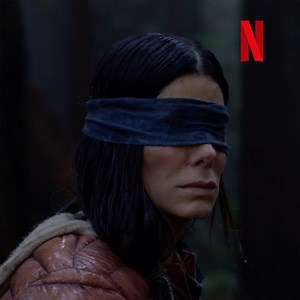 4.5K reactions · 1.2K shares | Never lose sight of survival. Watch Bird Box starring Sandra Bullock on Netflix, December 21. | Netflix | Facebook