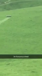 267K views · 2.3K reactions | NZ Farming on Reels | Facebook