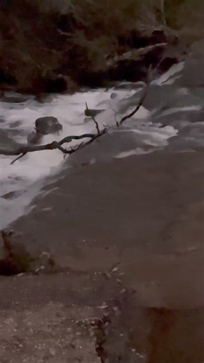 4K views · 148 reactions | Sugarloaf Creek at dusk. At the old floodway crossing. Photos taken 14 July 2024 By Greg Moloney | Victorian Creeks and Rivers; Friends of Deep Creek | Facebook