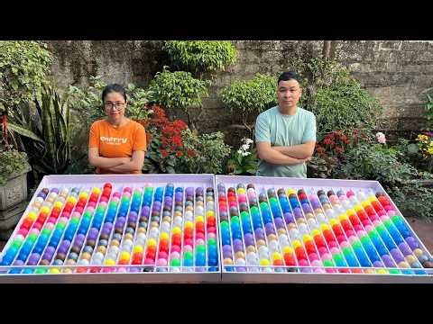 Puzzle sort ball game solve and challenge