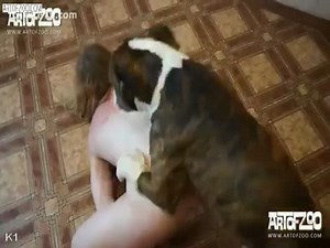 Candid zoophilia sex compilation