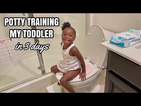 HOW TO POTTY TRAIN A 2 YEAR OLD | RAW & REALISTIC