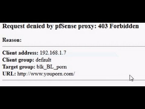 pfSense WEB FILTERING & Block Downloads w/ SQUIDGUARD | pfSense How-to/Guide/Tutorial