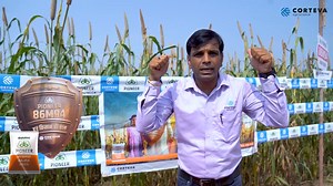 853 reactions · 28 shares |  पायोनियर 86M94 – जबरदस्त उपज के लिए...