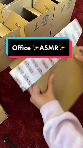 Lucy & Lisa | Sticker Guru on TikTok